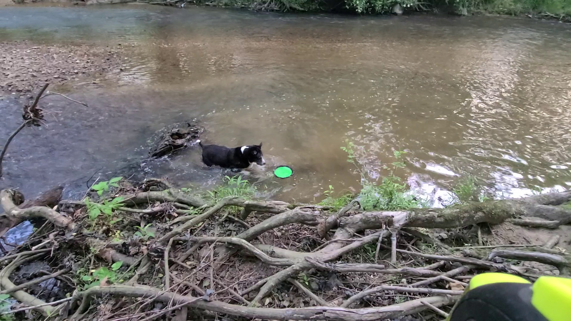 Bobbing for Frisbee